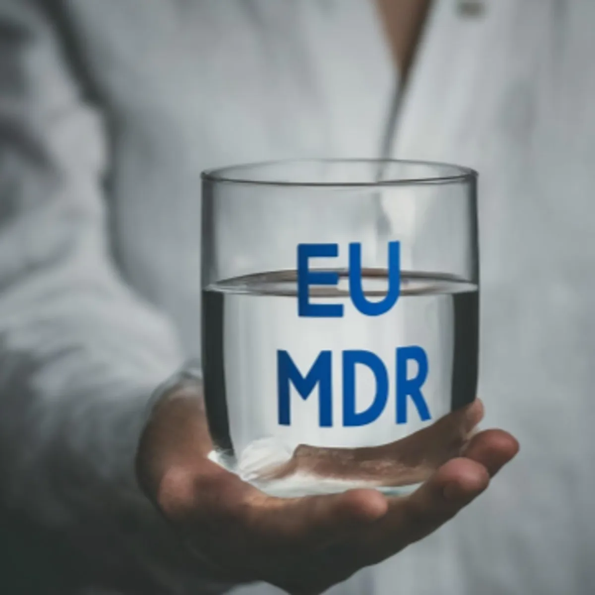 Assessing Eudamed's Progress 